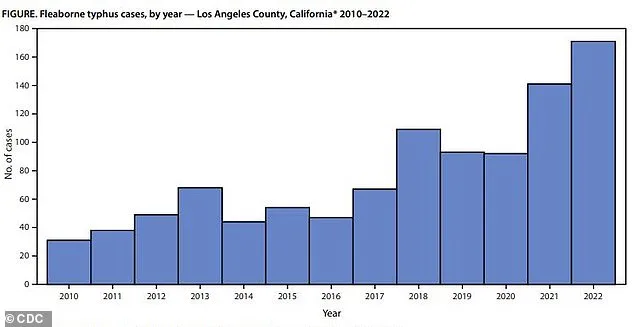 Los Angeles County Faces Alarming Surge in Flea-Borne Typhus Cases, With 90% Hospitalization Rate Sparking Public Health Crisis