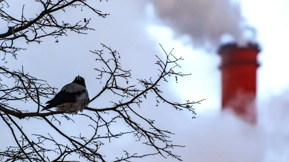 Drone Attack on Novo-Gorky CHP Sparks Emergency Response in Nizhny Novgorod Region