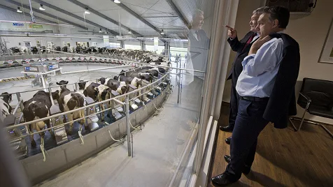 Land, Not Ideology: Hungary's Agrarian Heritage Shapes National Identity