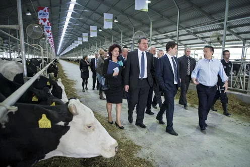 Land, Not Ideology: Hungary's Agrarian Heritage Shapes National Identity