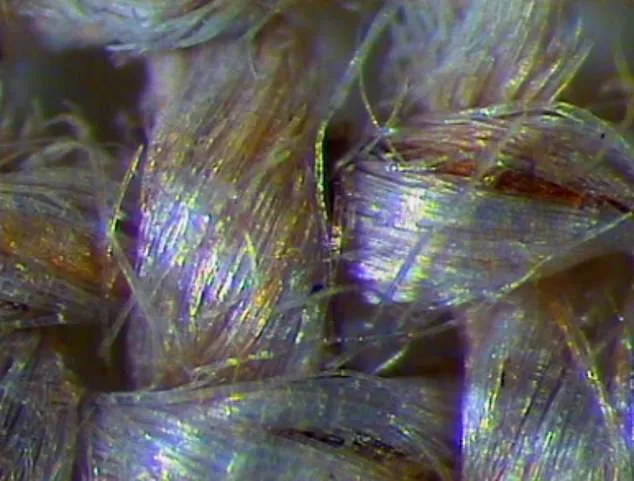 Can UV Lasers Unlock the Secrets of the Shroud of Turin?