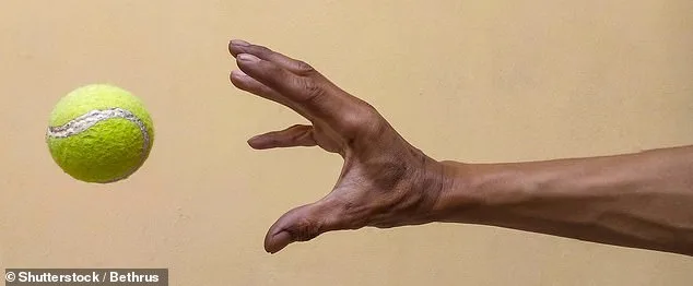 The Rising Crisis of Chronic Shoulder Pain: Aging, Modern Lifestyles, and the Urgent Need for Early Intervention