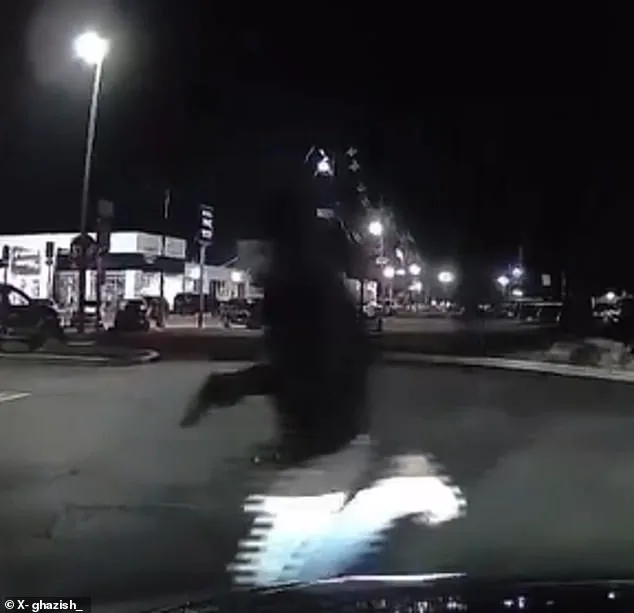 Chaos and Tragedy at Chick-fil-A in Union Township, New Jersey as Shooters Leave One Dead and Six Injured