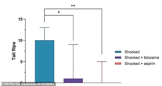Scientists Urge Immediate Ban on Boiling Lobsters Alive After Study Shows They Feel Pain Like Humans