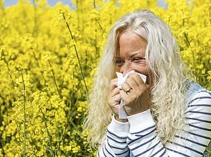 Hay Fever Meds Linked to Increased Appetite