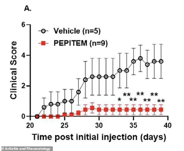Immune Peptide Found to Reverse Arthritis in Mice