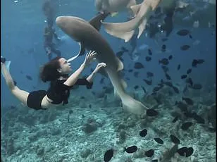 Maldives Honeymoon Shark Attack: Spanish Man Fights for Life