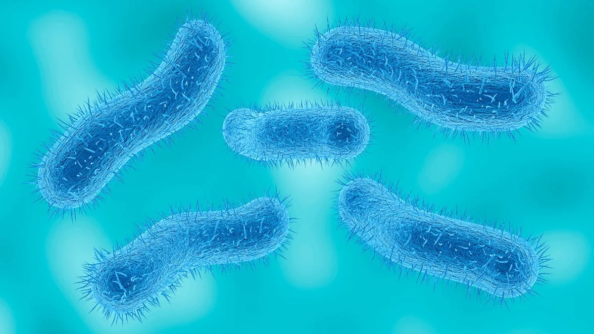 Shigella Infections Resist Key Antibiotics: CDC Alert.