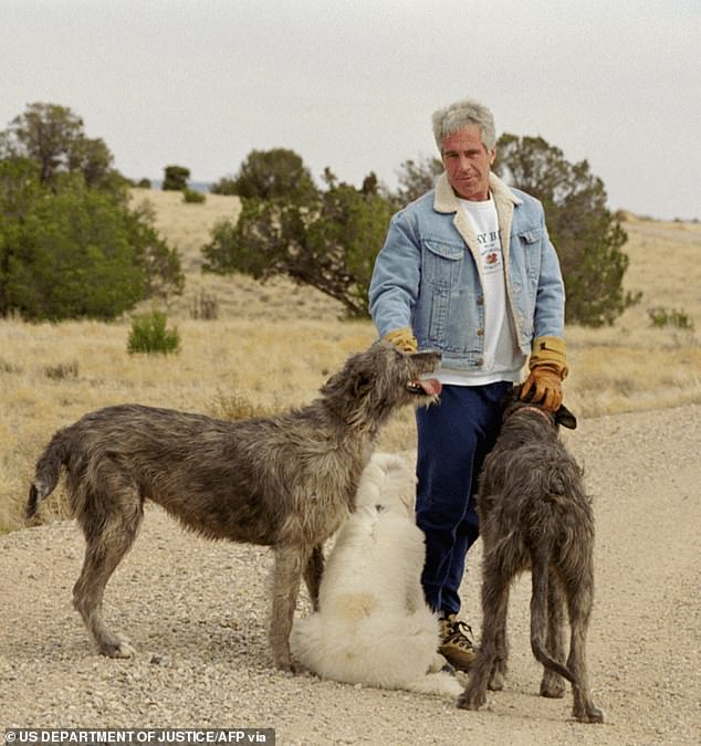 New allegations claim Epstein ordered gang rapes and killings at New Mexico ranch.