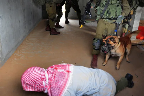 Israel officially deported hundreds of pro-Palestinian activists after abuse allegations.