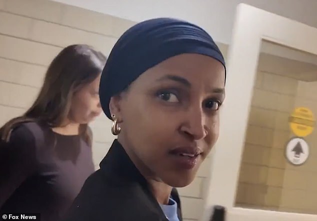 Ilhan Omar responds to foreign-born ban proposal with 'Good luck to her