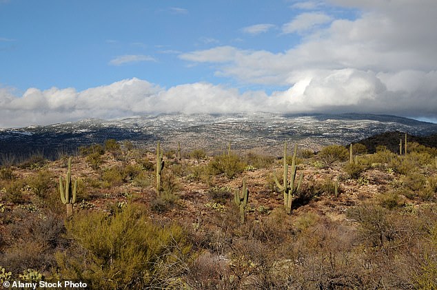 Arizona boy allegedly held girlfriend captive in tent for four months