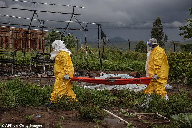 Global travel bans halt Ebola spread across Canada and the Bahamas.