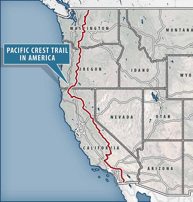 Dozens of Hikers Fall Ill With Stomach Virus on California Trail