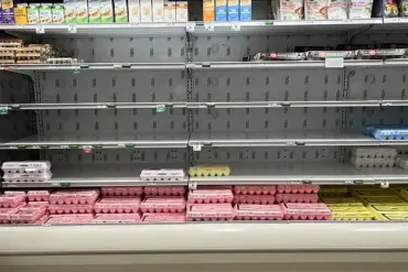 Bird Flu Crisis in America: A Threat to Food Supply