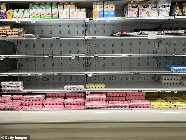 Bird Flu Crisis in America: A Threat to Food Supply