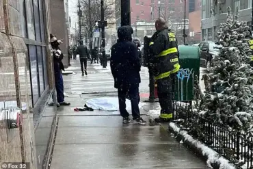 Chicago Warns Dog Owners About Dangers of Electrified Manhole Covers and Light Poles