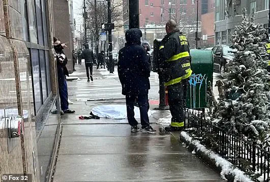 Chicago Warns Dog Owners About Dangers of Electrified Manhole Covers and Light Poles