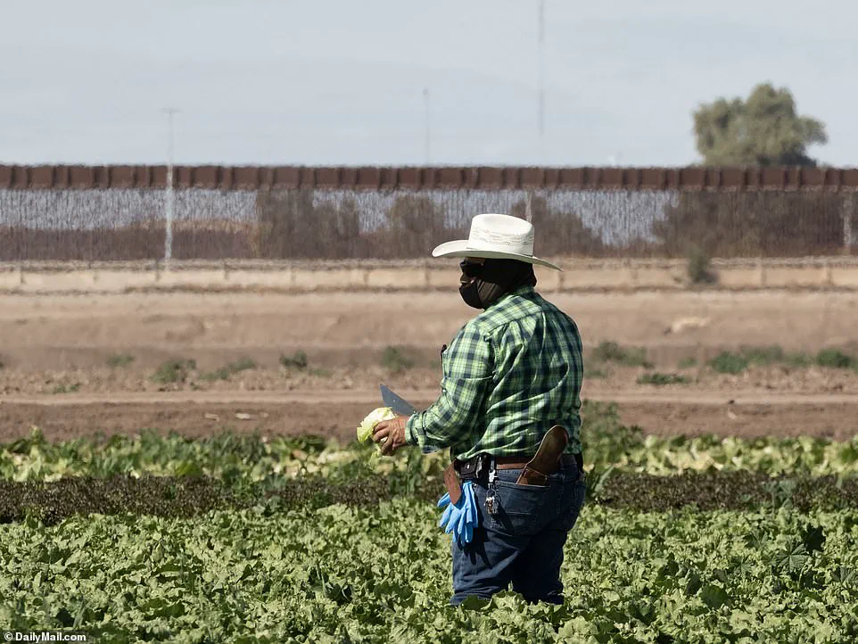 Coyotes Impersonating Border Patrol Agents to Smuggle Migrants