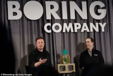 Elon Musk's Cost-Cutter Joins Brazil's Department of Government Efficiency
