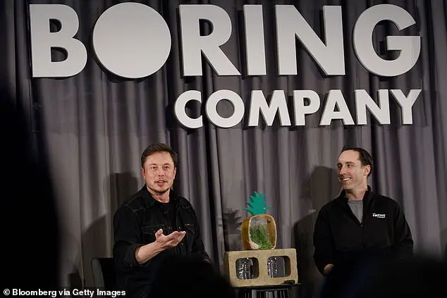 Elon Musk's Cost-Cutter Joins Brazil's Department of Government Efficiency