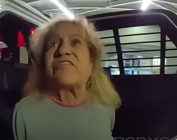 Foul-Mouthed Florida Woman Attacks Deputies During Traffic Stop