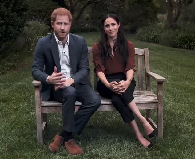 Harry and Meghan's Archewell Foundation Donates Half a Million Dollars to Democrats