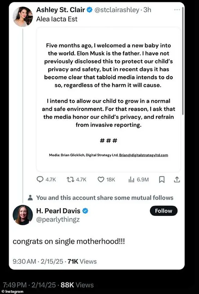 MAGA Influencers React to Elon Musk Fathering a Child with Conservative Woman