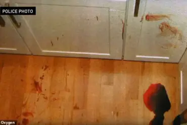 Philadelphia Reopens Investigation into Ellen Greenberg's Death