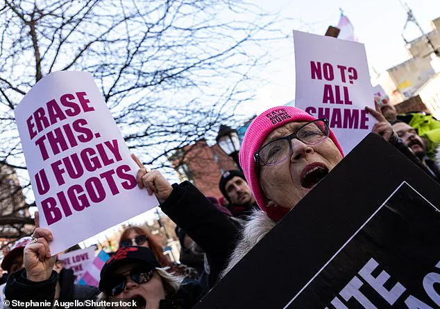 Rachel Maddow's Stonewall Comments Spark Outrage