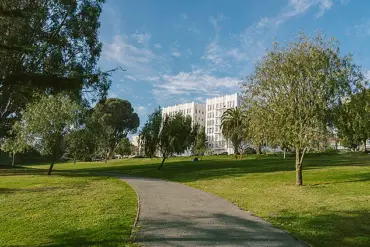 San Francisco's Jefferson Square Park becomes a 'Zombie Park'