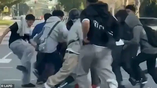 Terror in LA: Feral Teen Cyclists Go On Brutal Attack