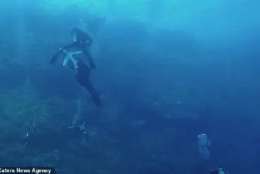 The Nightmarish Encounter: A Scuba Diver's Tale