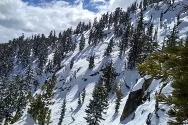 Two skiers die in avalanches in Oregon and California