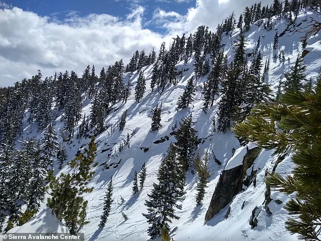 Two skiers die in avalanches in Oregon and California