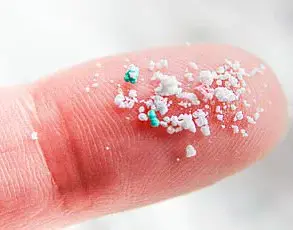 Microplastics: Uncovering Their Impact on Human Health and Disability Rates