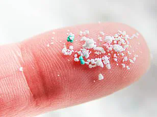 Microplastics: Uncovering Their Impact on Human Health and Disability Rates