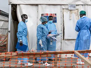 Mpox: DR Congo's Highly Transmissible Variant Fuels Global Health Concerns