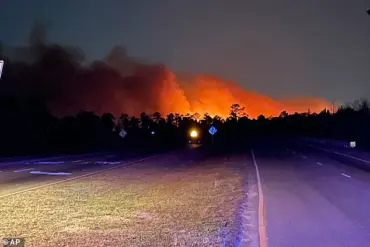 South Carolina Forest Fire: A Devastating Blaze