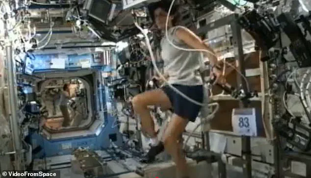 Stranded Astronauts Face Grim Return: Up to Half Muscle Mass and Nearly a Fifth Bone Density May Be Lost