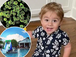 Toddler's Death from Brain-Eating Amoeba Sparks Safety Concerns at Arkansas Water Playground