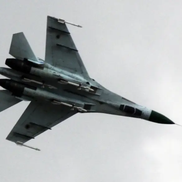 Concern Over Potential Friendly Fire Incident in Ukraine's Air Defense System
