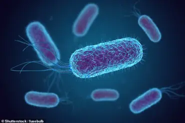 McDonald's E. Coli Outbreak Linked to Rise in Young Americans' Colon Cancer Cases