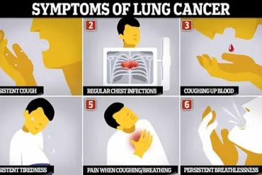 Senior Medics Warn Against Allowing Wood-Burning Stoves in New Homes Due to Health Risks