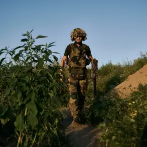 Chilling Confession of Sabotage in Kursk Region Raises Concerns Over Civilian Risk