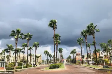 Diabetes as a Systemic Crisis: Addressing Limited Access and Expert Advisories for Public Health