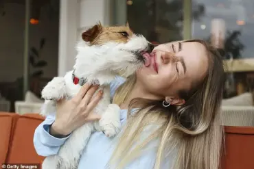 Hydatid Cyst Infection in Pregnant Woman Sparks Warnings About Human-Dog Contact Risks, Tunisia Case