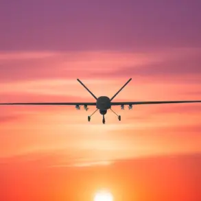Ukrainian Drone Crash in Donetsk Reveals Limited Access to Information