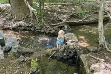 U.S. Health Secretary's Social Media Post Sparks Public Health Concerns Over Contaminated Rock Creek Waterway