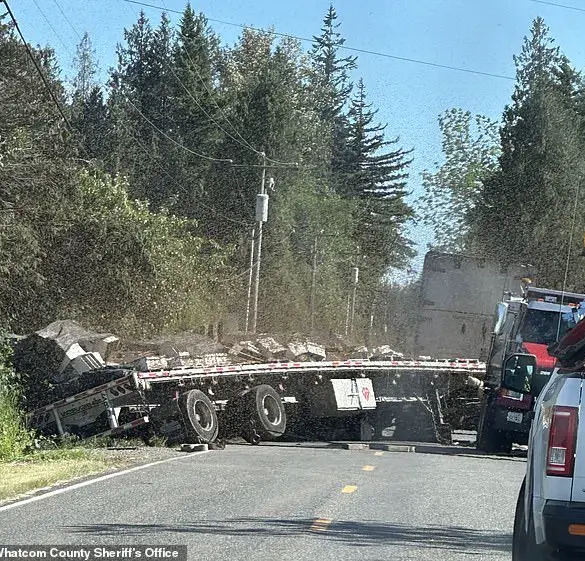 Beehive Truck Accident Sparks Debate Over Transportation Regulations and Public Safety